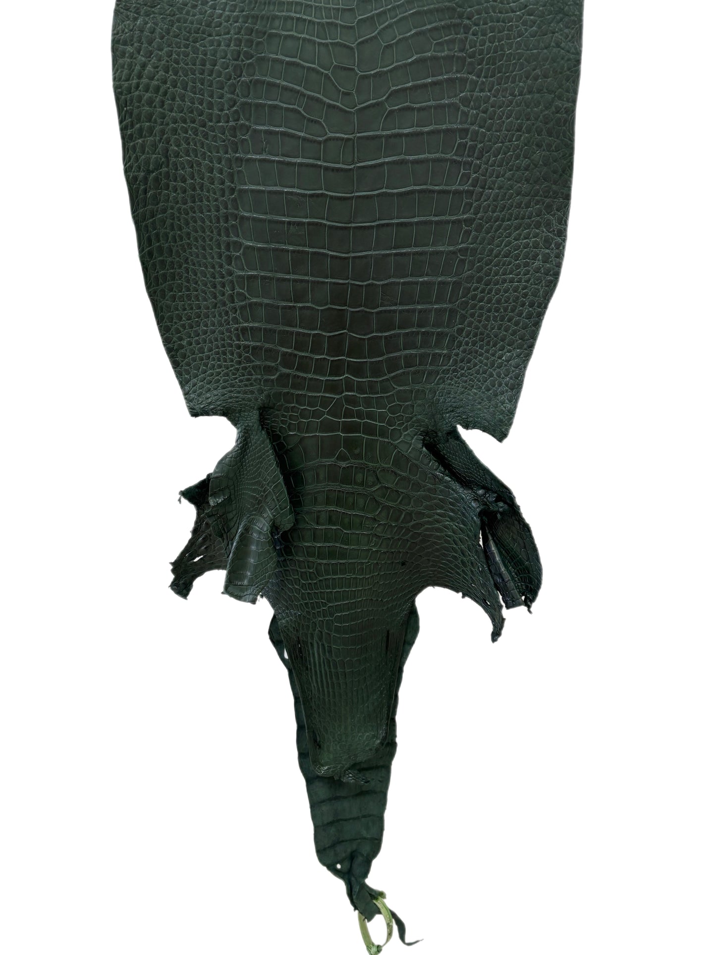37 cm Grade 3/4 Forest Green Matte Wild American Alligator Leather - Tag: LA23-0002127