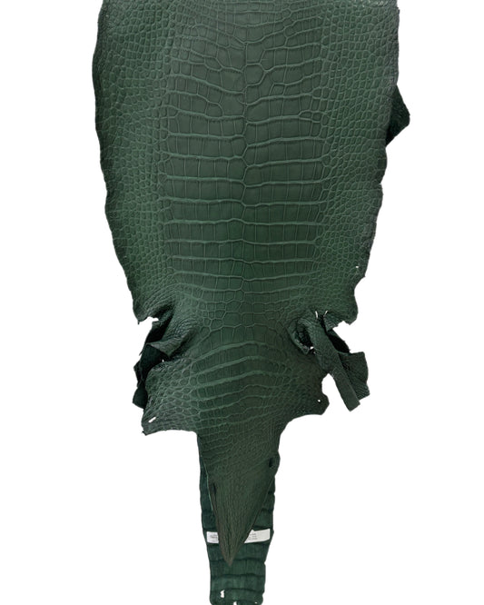 35 cm Grade 2/3 Forest Green Matte Wild American Alligator Leather - Tag: LA23-0002049