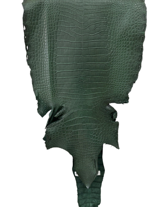 35 cm Grade 2/3 Forest Green Matte Wild American Alligator Leather - Tag: LA23-0050738