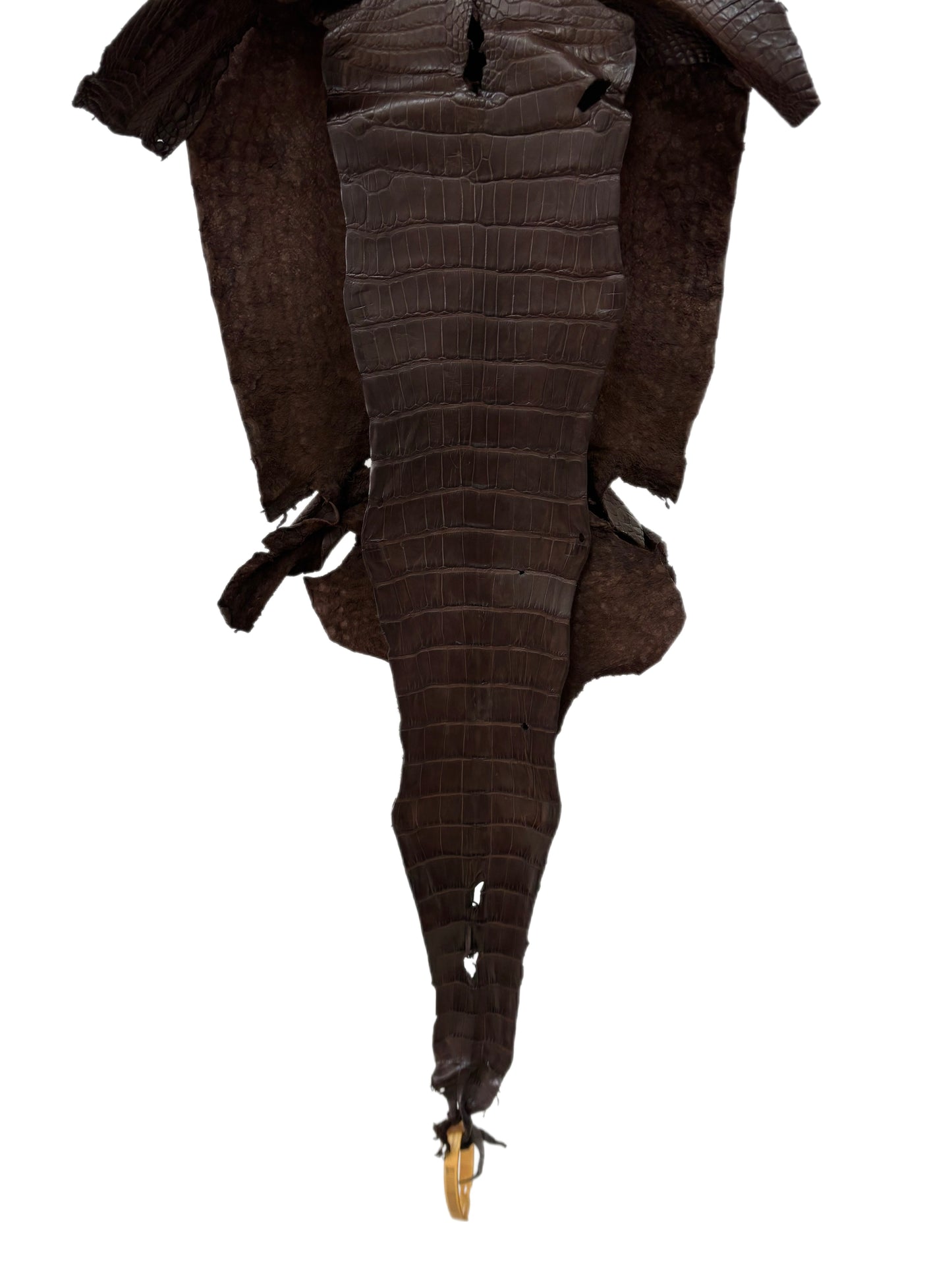 29 cm Grade 1/2 Chocolate Matte Wild American Alligator Leather - Tag: LA23-0030306