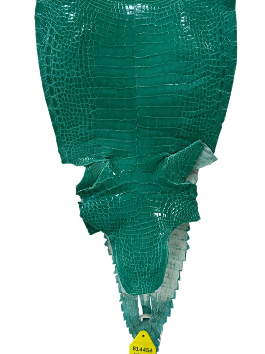 25 cm Grade 1 Tiffany Blue Classic Wild American Alligator Leather - Tag: GA15-0047304