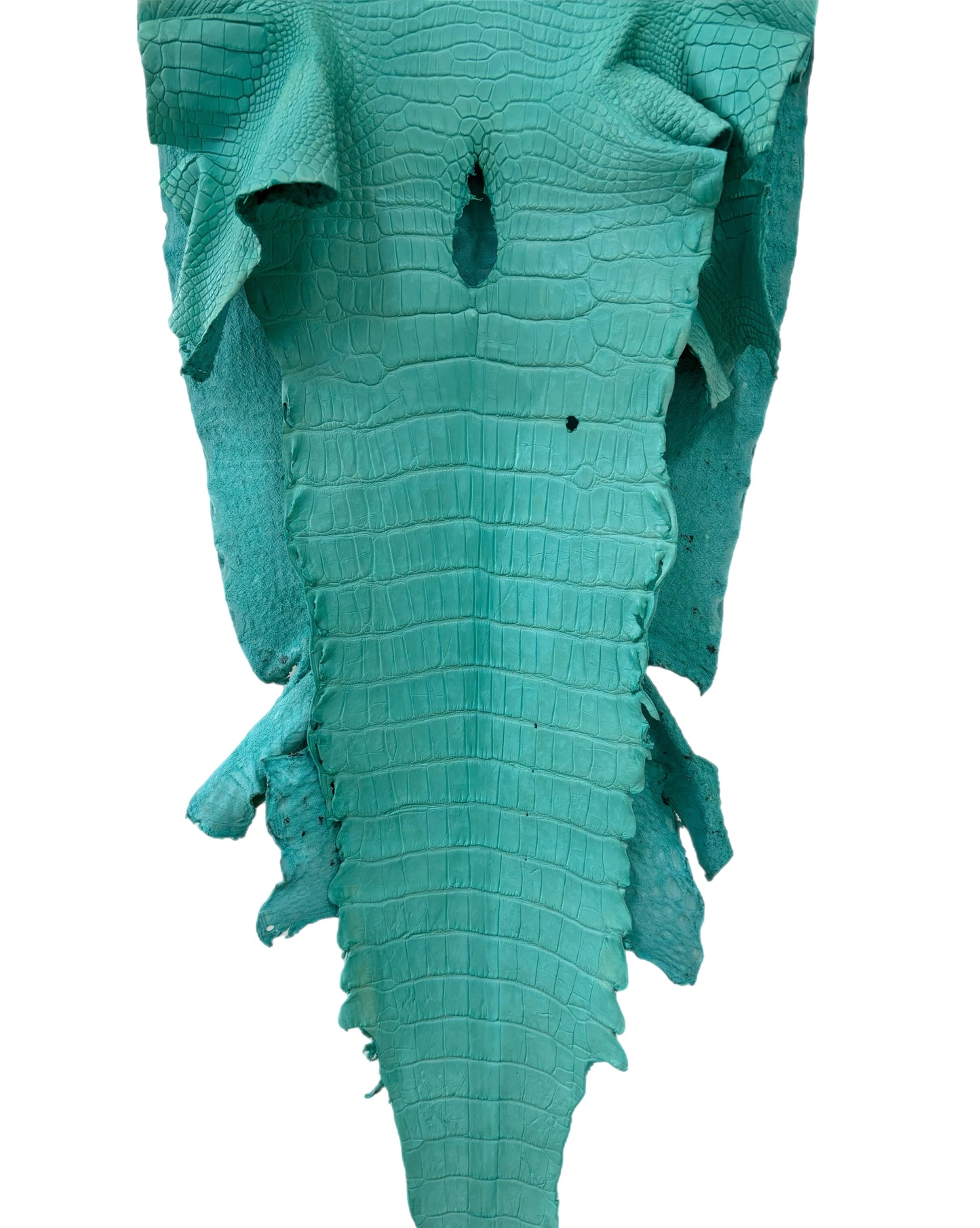 42 cm Grade 2/3 Seafoam Matte Wild American Alligator Leather - Tag: LA23-0000785