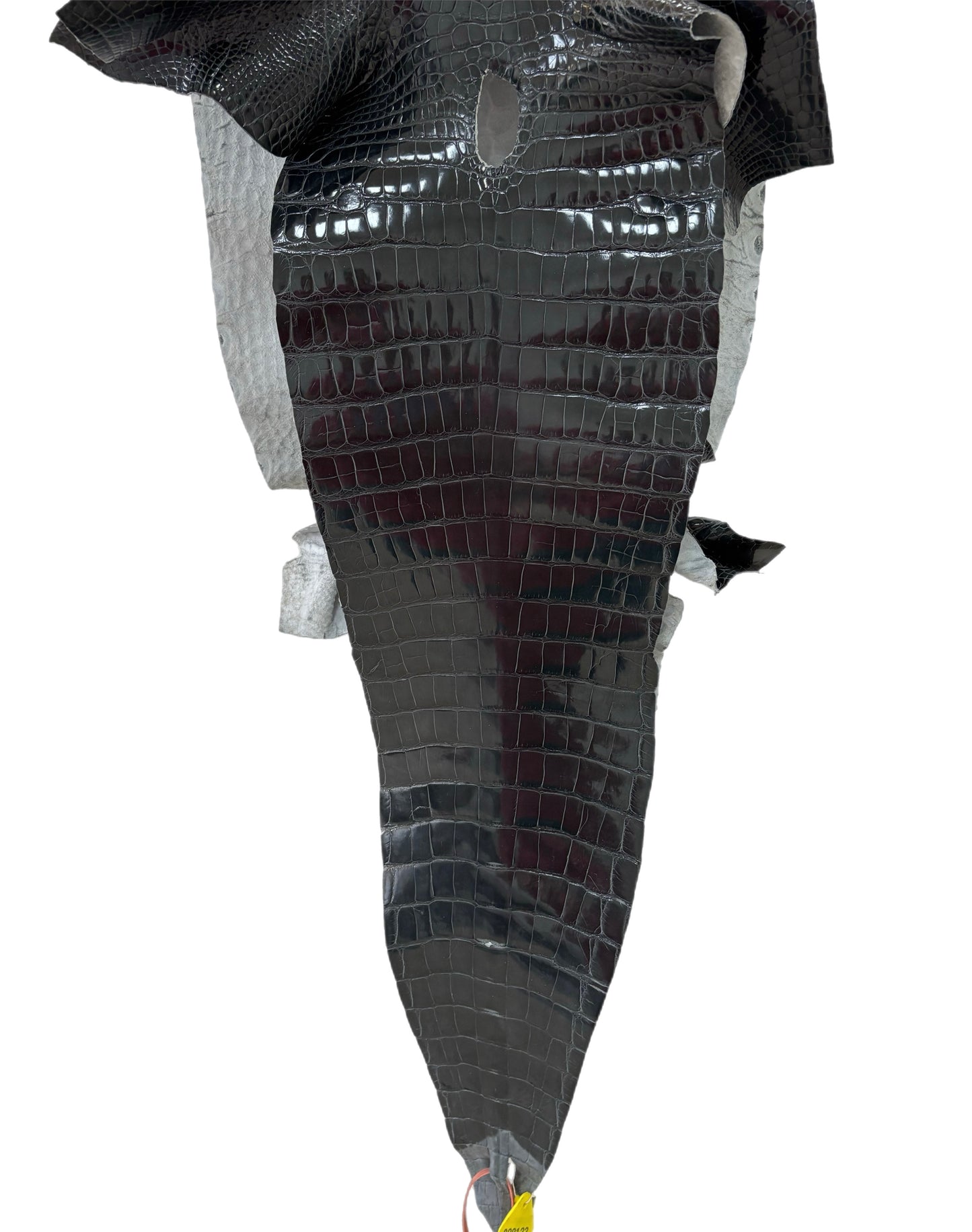 35 cm Grade 1/2 Grey Glazed Farm-Raised American Alligator Leather - Tag: GA14-0021532