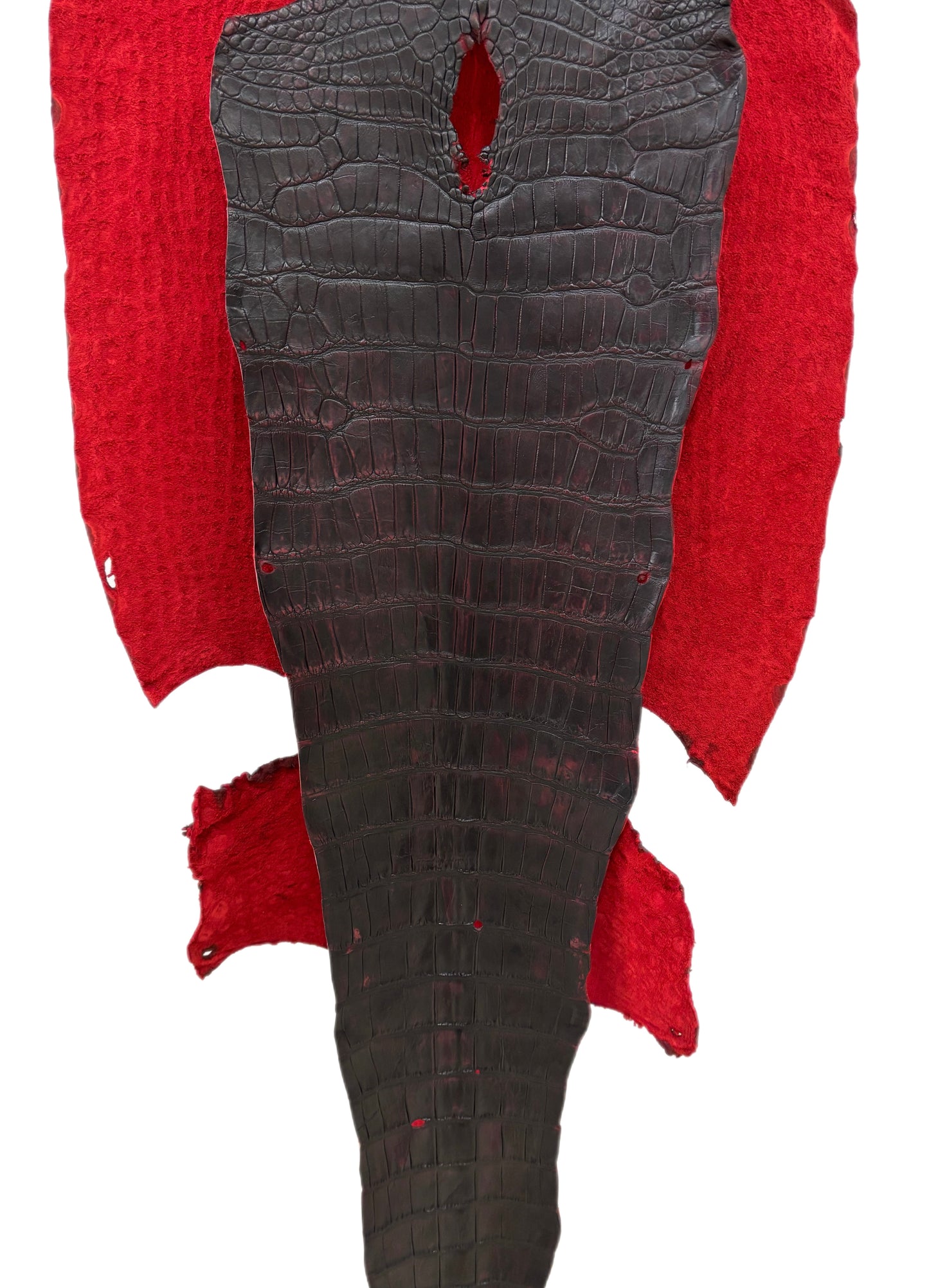 49 cm Grade 3/4 Black Cherry Matte Wild American Alligator Leather - Tag: LA24-0037900