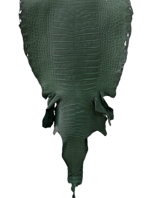 35 cm Grade 3/4 Forest Green Matte Wild American Alligator Leather - Tag: LA23-0024215