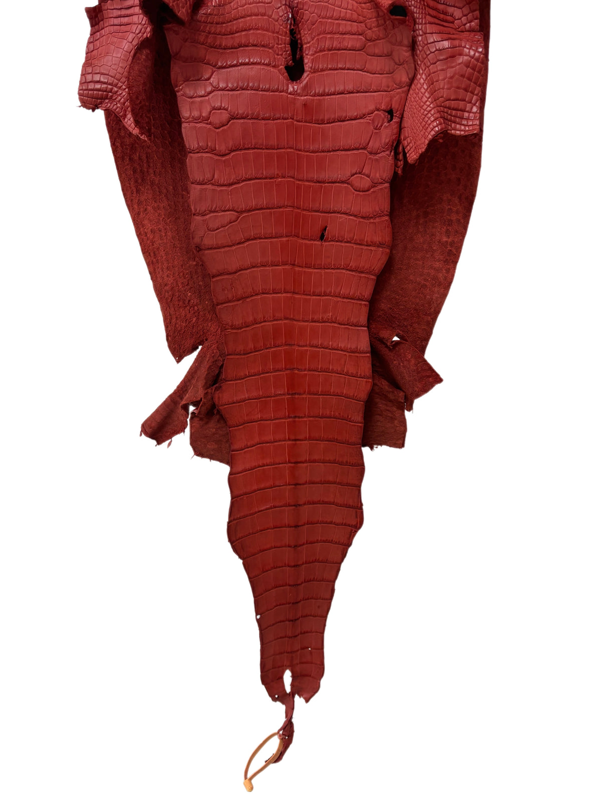 44 cm Grade 2/3 Marziale Matte Wild American Alligator Leather - Tag: LA16-0040146