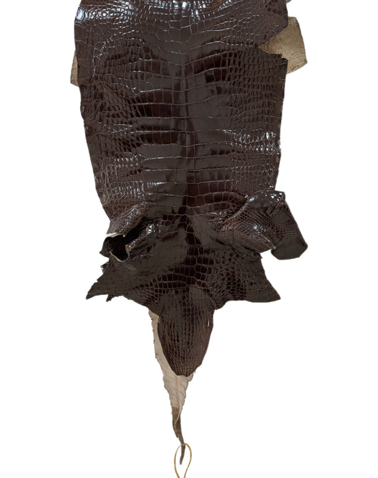 29 cm Grade 2/3 Sport Rust Brown Classic Wild American Alligator Leather - Tag: LA13-0029470