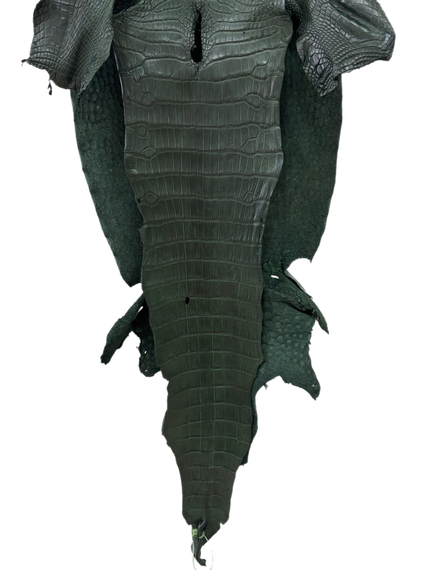 40 cm Grade 2/3 Forest Green Matte Wild American Alligator Leather - Tag: LA23-0023083