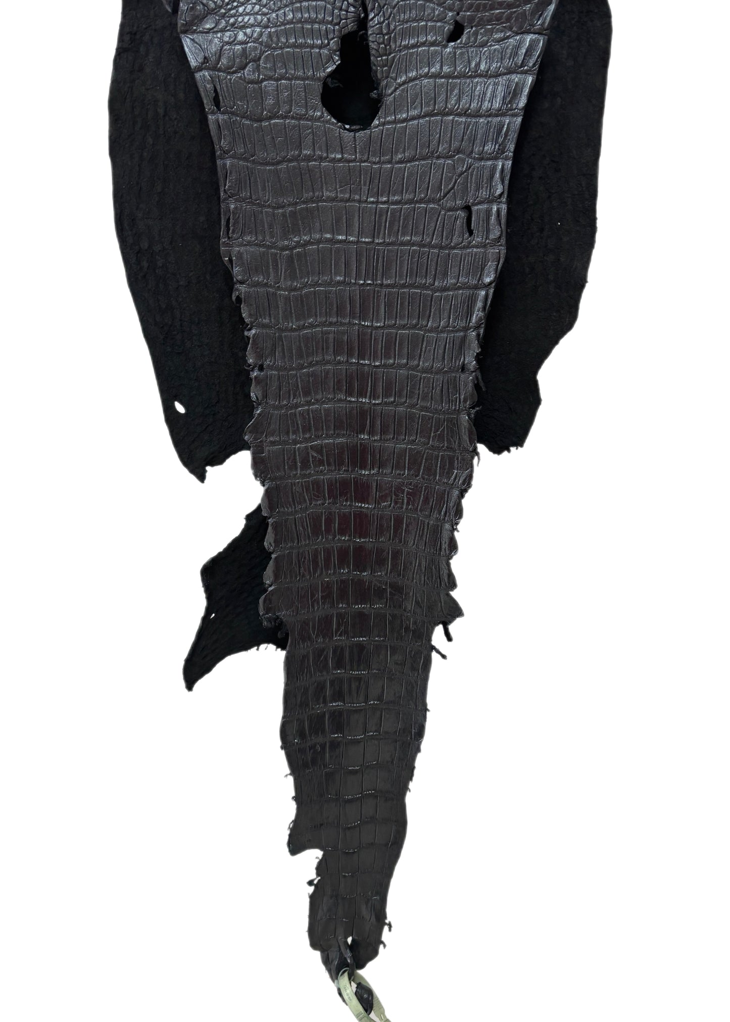 35 cm Grade 3/4 Metallic Black Shimmer Matte Wild American Alligator Leather - Tag: LA23-0050054