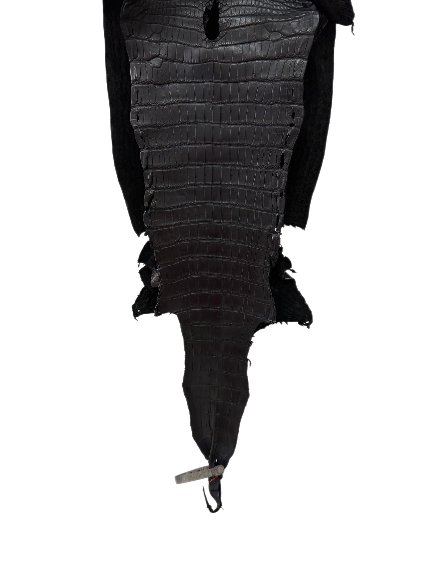25 cm Grade 2/3 Black Matte Farm-Raised American Alligator Leather - Tag: LA23-0531375