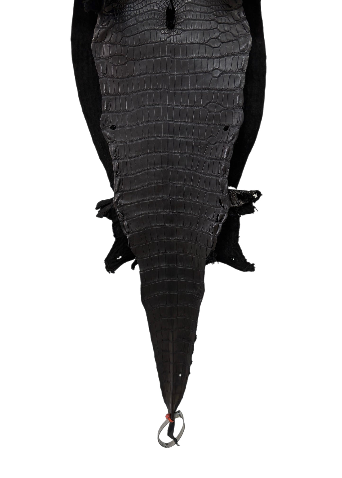 29 cm Grade 1/2 Black Matte Farm-Raised American Alligator Leather - Tag: LA23-0326638