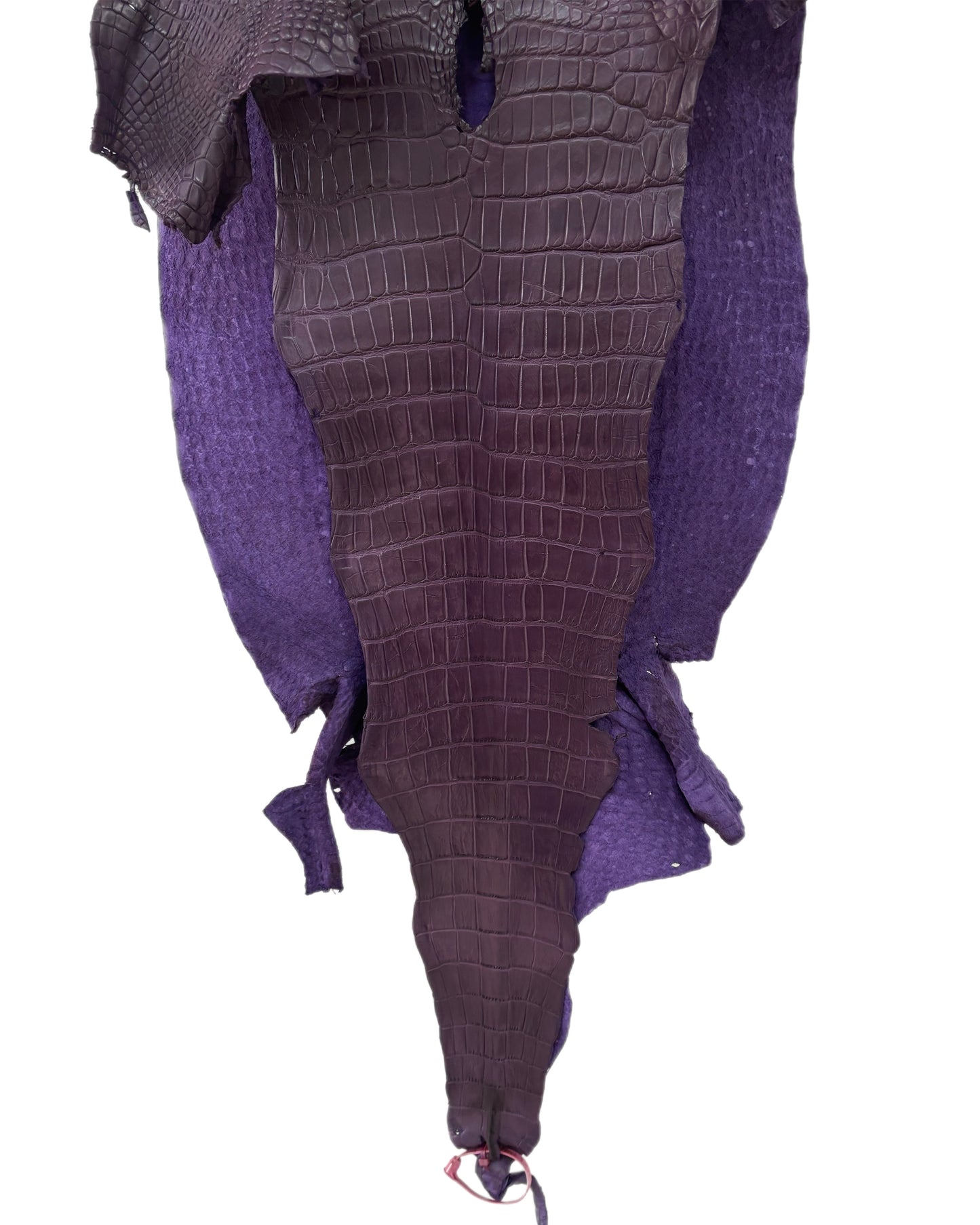 43 cm Grade 3/4 Aubergine Matte Wild American Alligator Leather - Tag: LA23-0001946