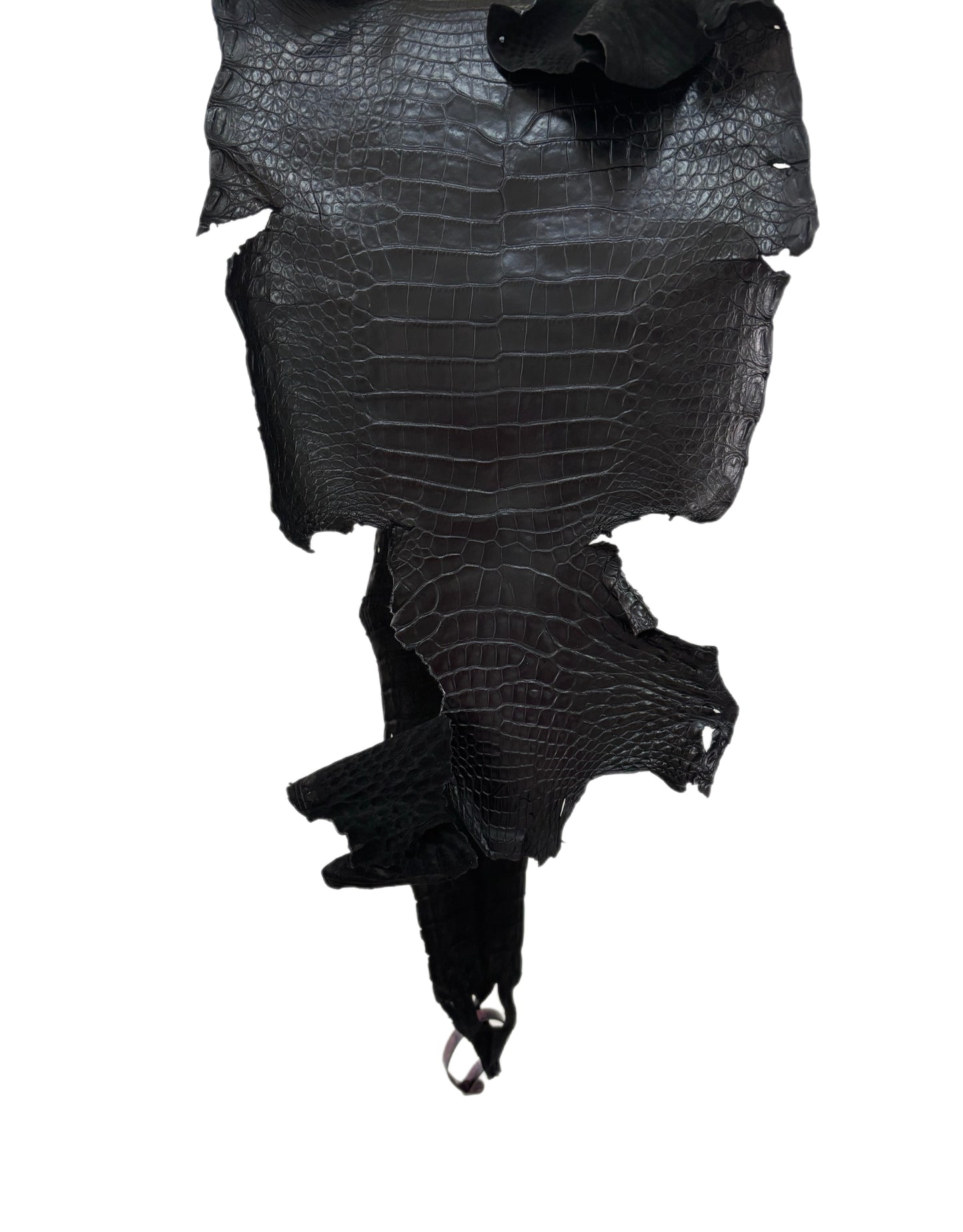 23 cm Grade 3/4 Black Matte (Stiff Finish) Farm-Raised American Alligator Leather - Tag: FL21-0024920