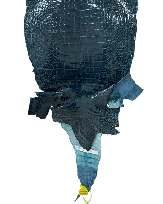 30 cm Grade 1/2 Tahiti Glazed Farm-Raised American Alligator Leather - Tag: FL16-0027475