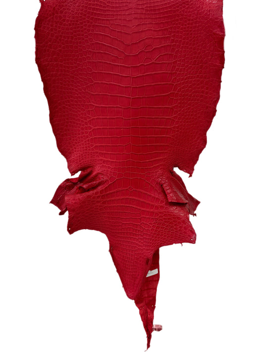 44 cm Grade 3/4 Candy Apple Red Matte Wild American Alligator Leather - Tag: LA23-0007785