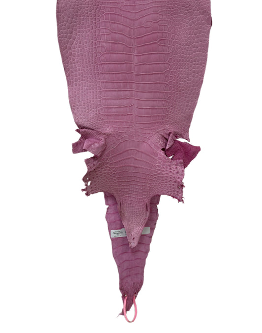 30 cm Grade 1/2 Cotton Candy Matte Farm-Raised American Alligator Leather - Tag: LA21-0328716
