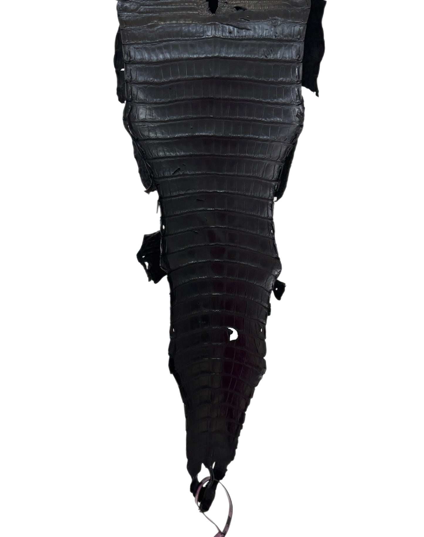 23 cm Grade 3/4 Black Matte (Stiff Finish) Farm-Raised American Alligator Leather - Tag: FL21-0024920