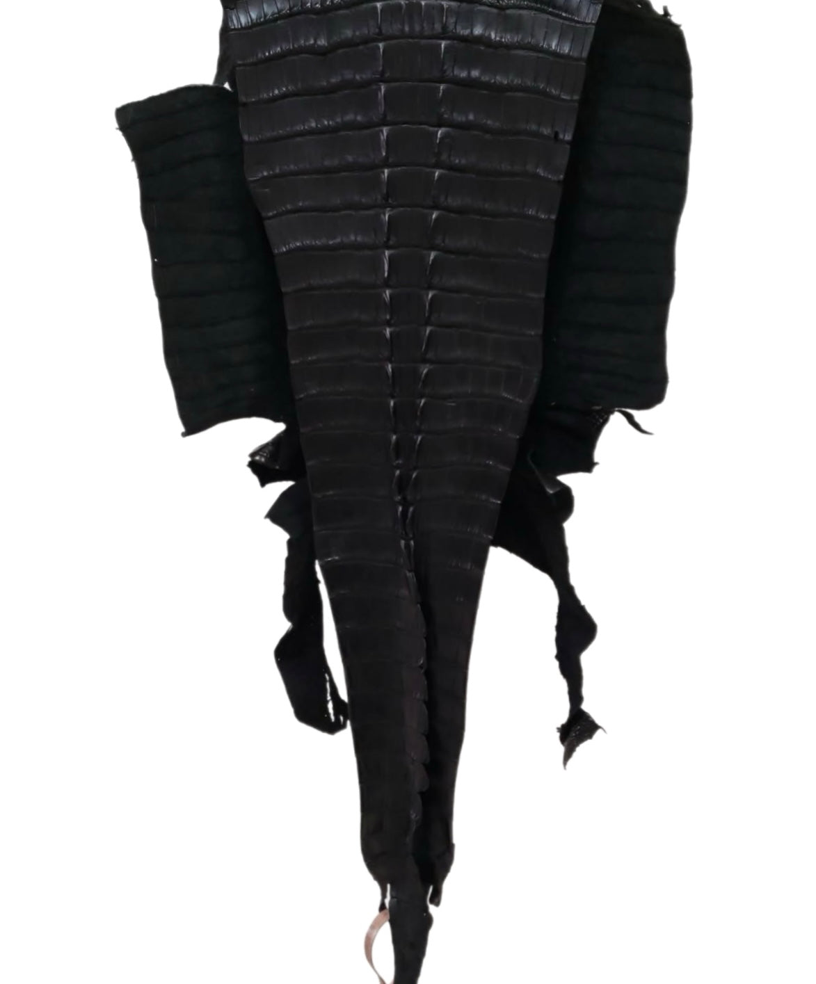38 cm Grade 3/4 Black Matte Farm-Raised American Alligator Hornback Leather - Tag: FL14-0031204
