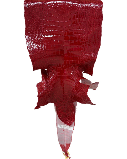 33 cm Grade 1/2 UGA Red Glazed Wild American Alligator Leather - Tag: LA16-0024833