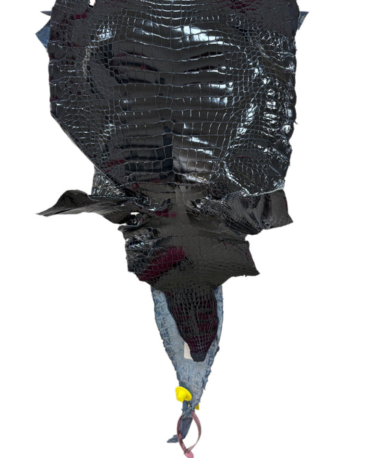 26 cm Grade 2/3 Navy Blue Glazed Wild American Alligator Leather - Tag: LA15-0017663