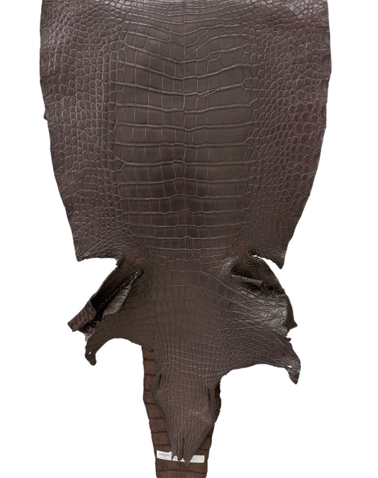 43 cm Grade 3/4 Kralle Brown Matte Wild American Alligator Leather - Tag: LA23-0024339