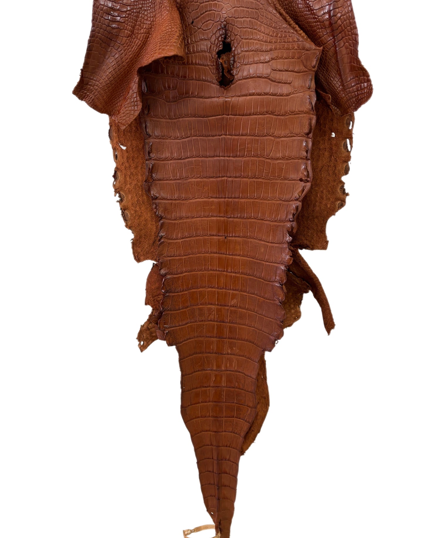 37 cm Grade 4/5 Cognac Matte Wild American Alligator Leather - Tag: LA23-0023834