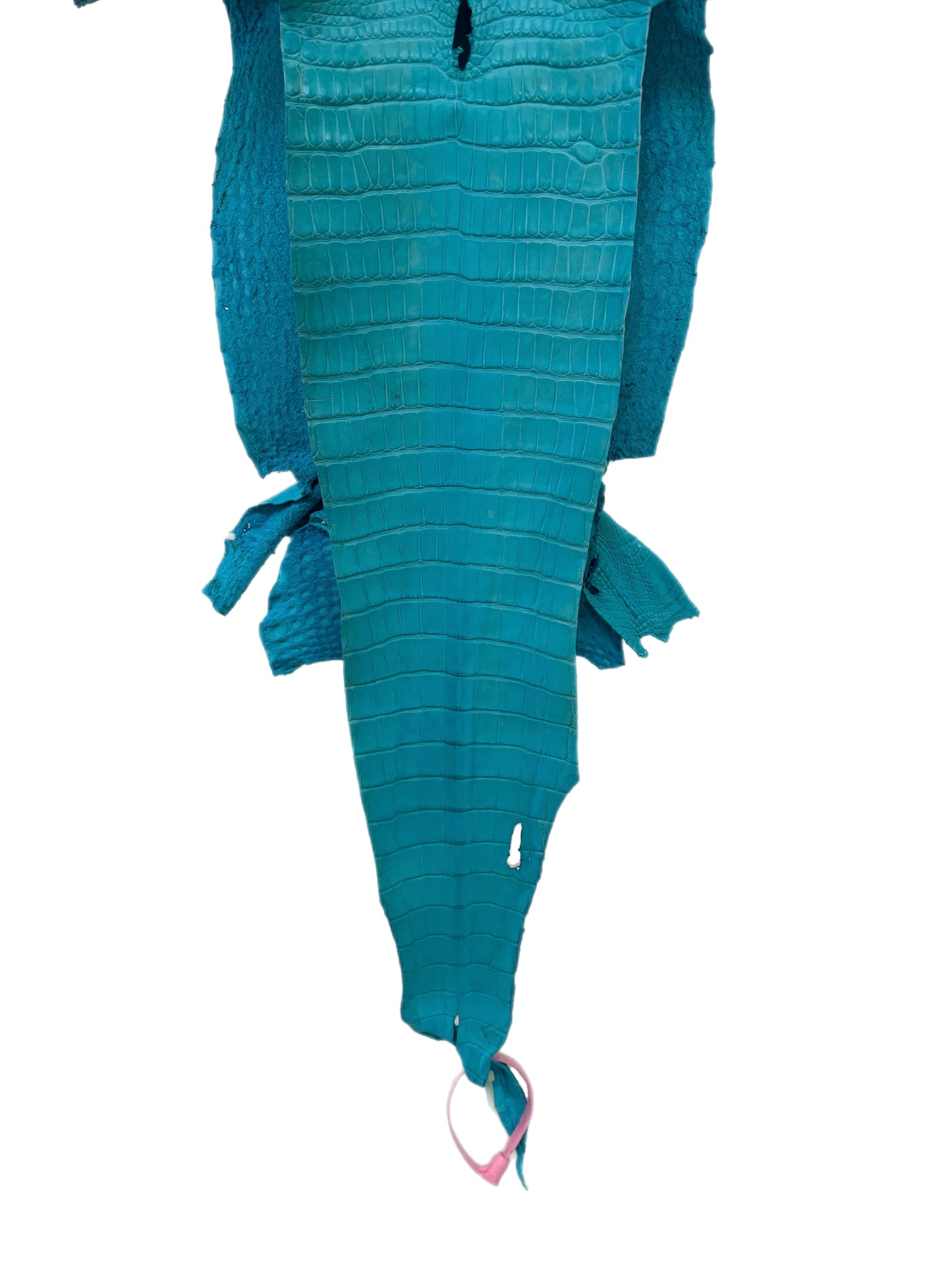 25 cm Grade 1/2 Turquoise Matte Farm-Raised American Alligator Leather - Tag: LA24-0228900