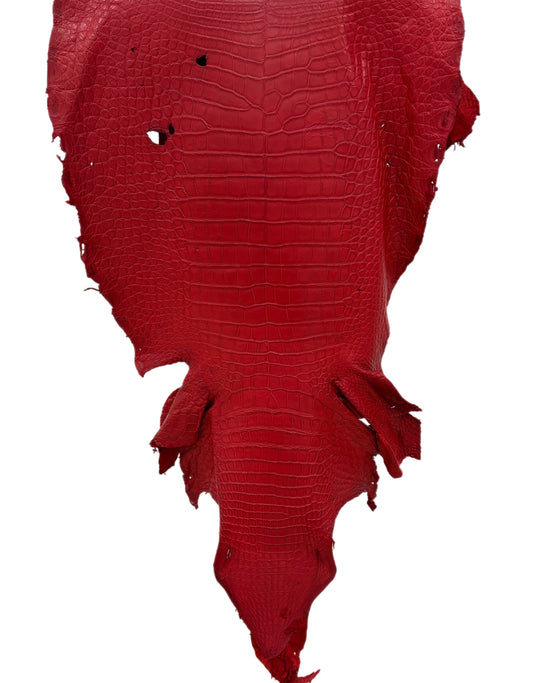 48 cm Grade 4/5 Candy Apple Red Matte Wild American Alligator Leather - Tag: LA23-0023074