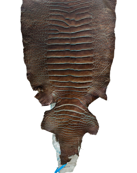 33 cm Grade 2/3 Pacifica Matte Wild American Alligator Leather - Tag: ESRE-0050963