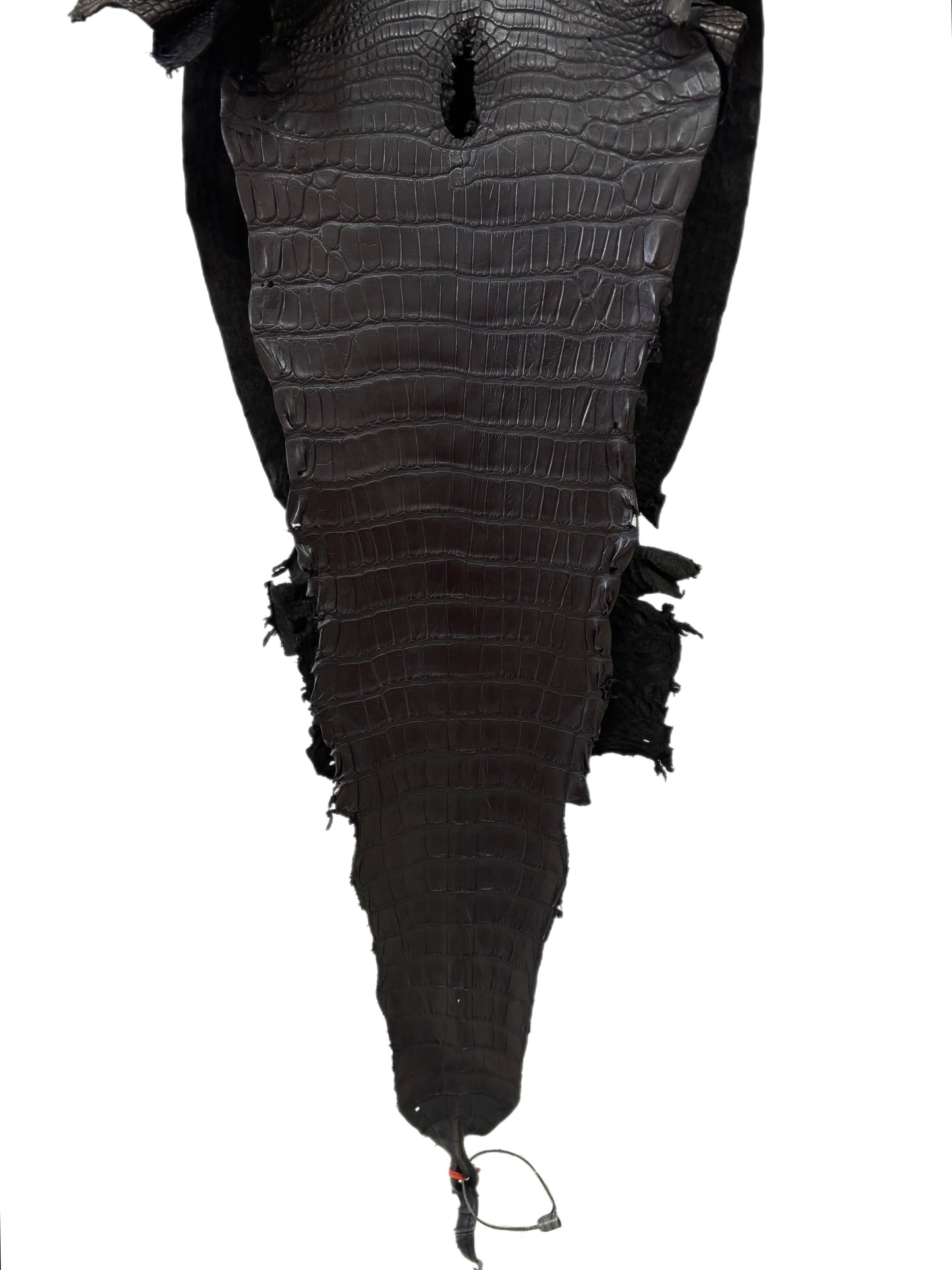 30 cm Grade 2/3 Black Matte Farm-Raised American Alligator Leather - Tag: LA23-0531661