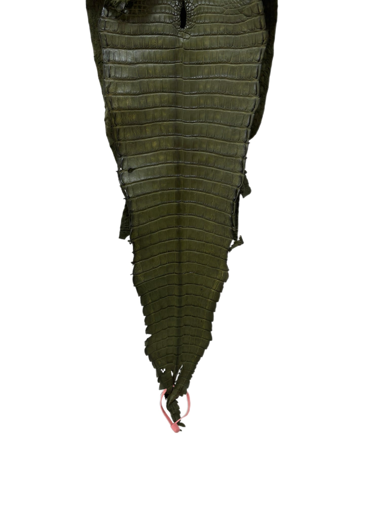 26 cm Grade 2/3 Olive Matte Farm-Raised American Alligator Leather - Tag: FL21-0024517