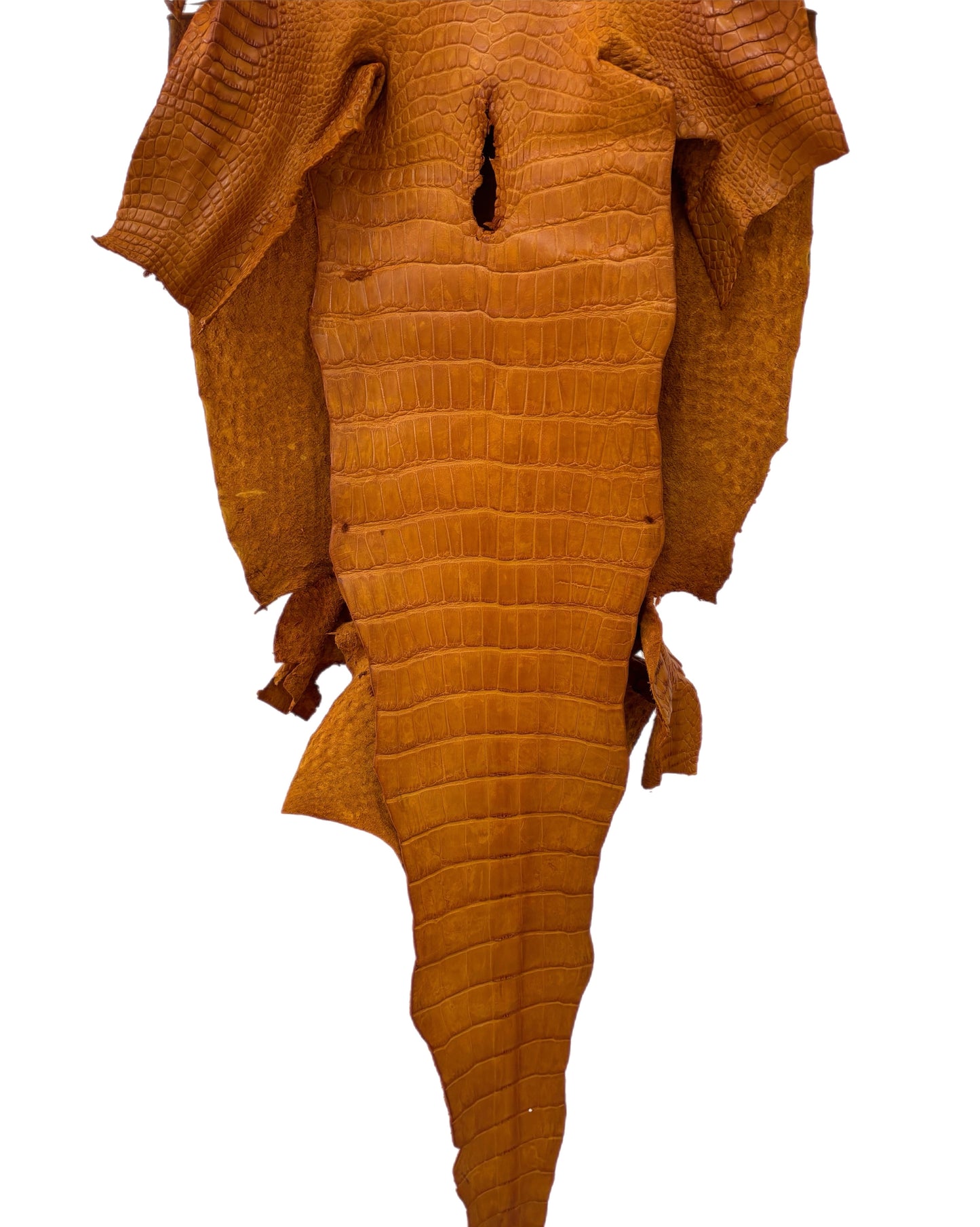 39 cm Grade 4/5 Buttercup Matte Wild American Alligator Leather - Tag: LA23-0050922