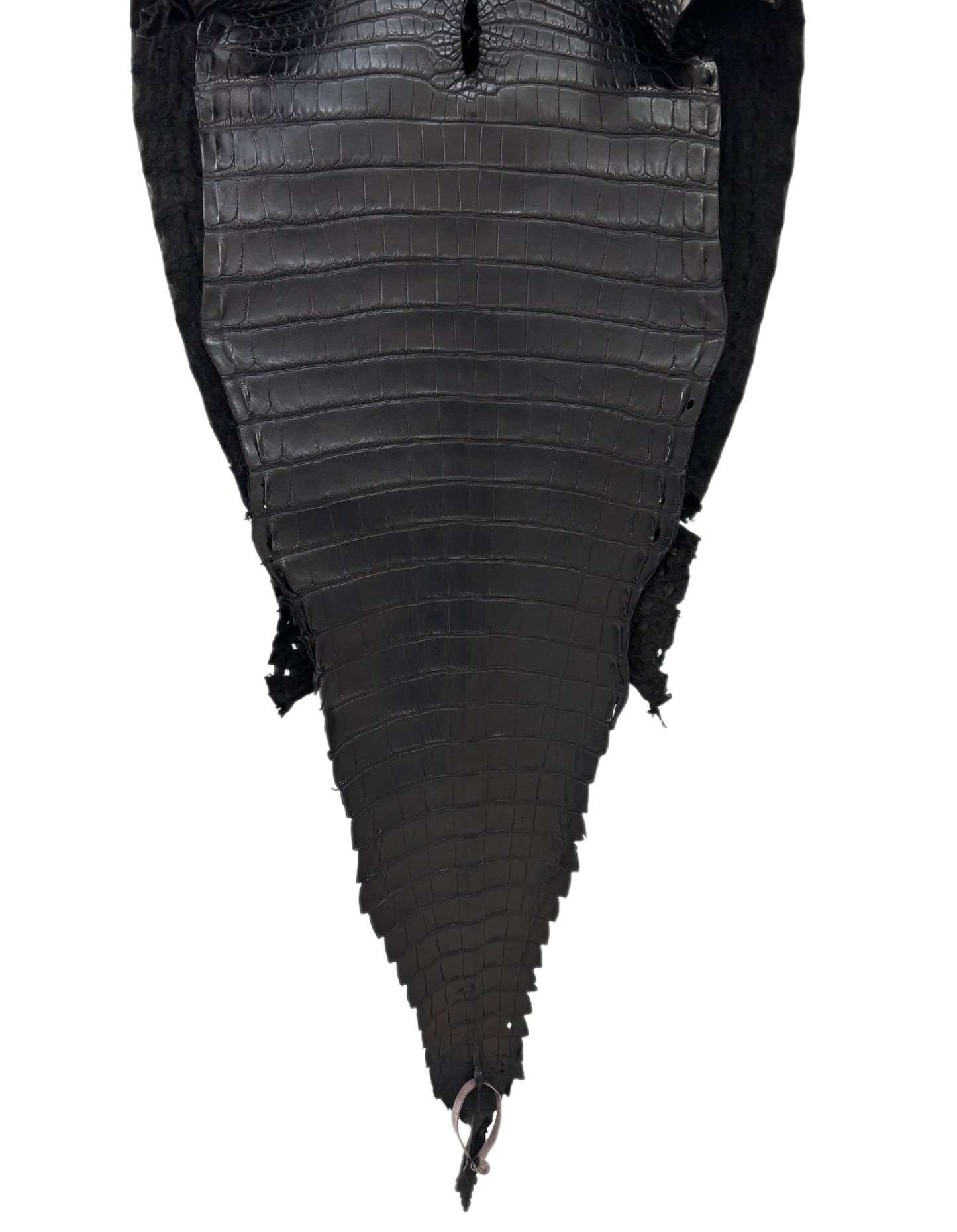 37 cm Grade 1/2 Black Matte Farm-Raised American Alligator Leather - Tag: FL18-0034673