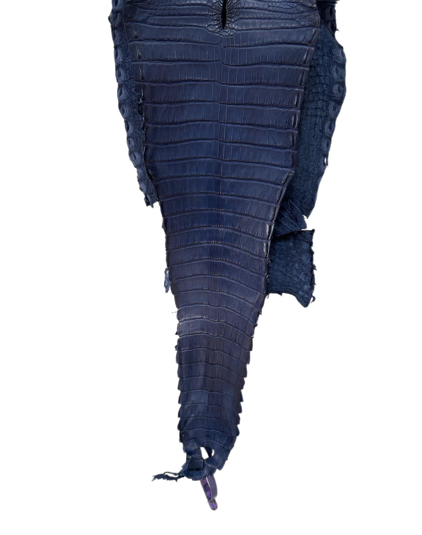 24 cm Grade 4/5 Admiral Blue Matte Farm Raised American Alligator Leather - Tag: FL21-0025014
