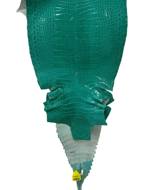 34 cm Grade 1 Tiffany Blue Classic Farm-Raised American Alligator Leather - Tag: GA13-0020970