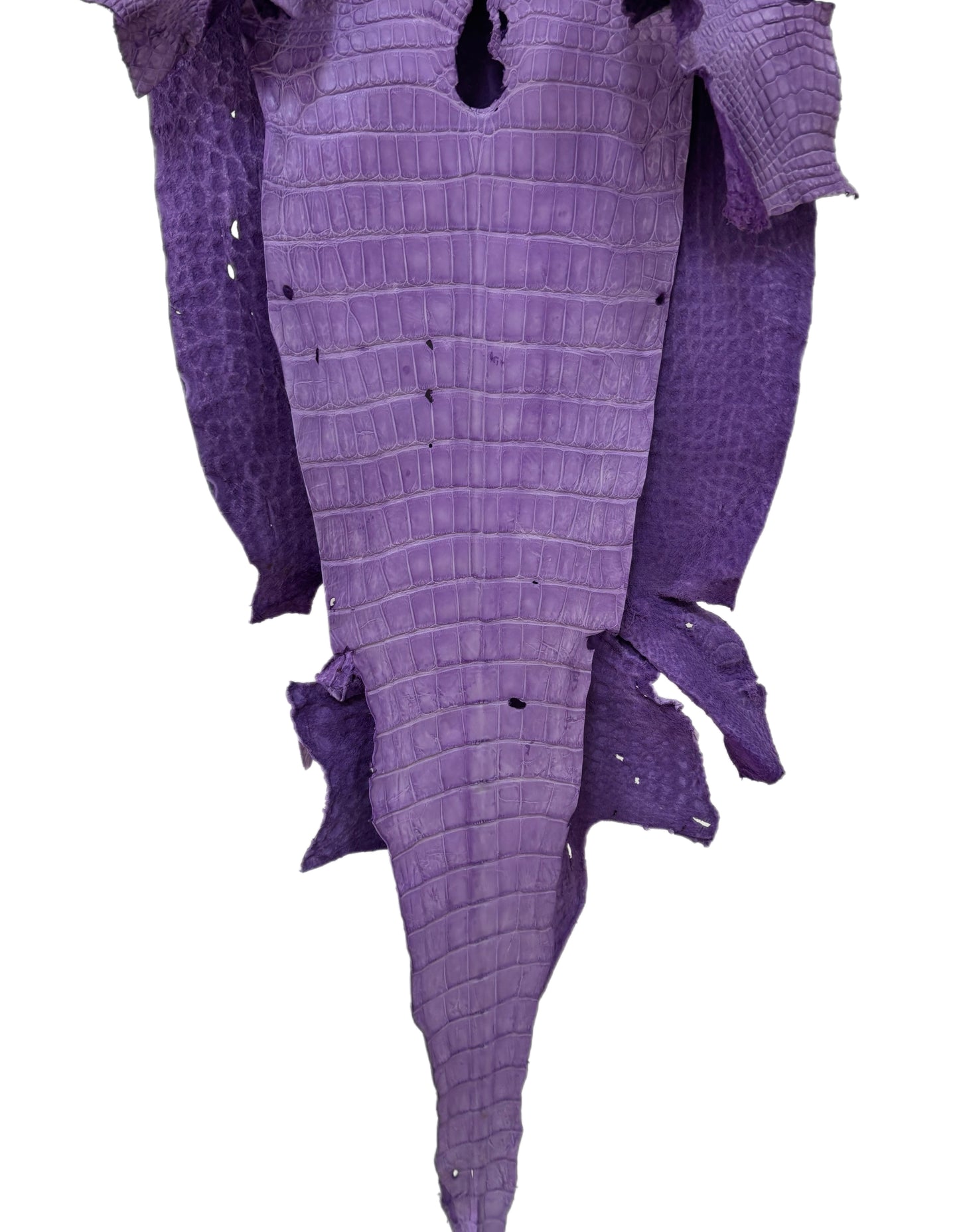 41 cm Grade 3/4 Lavender Jade Desert Wild American Alligator Leather - Tag: LA23-0003369