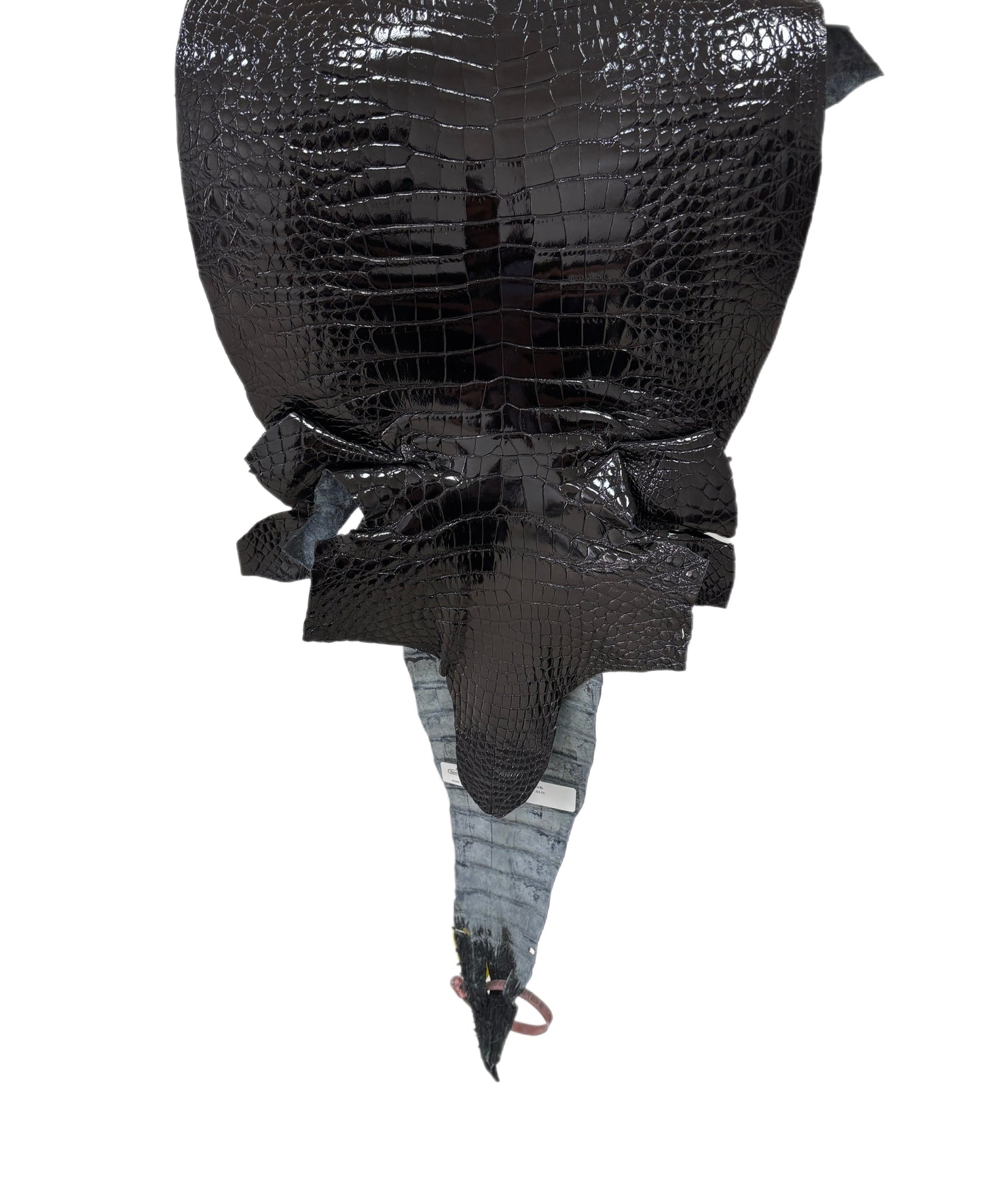 33 cm Grade 3/4 Black Glazed Wild American Alligator Leather - Tag: FL14-0003693