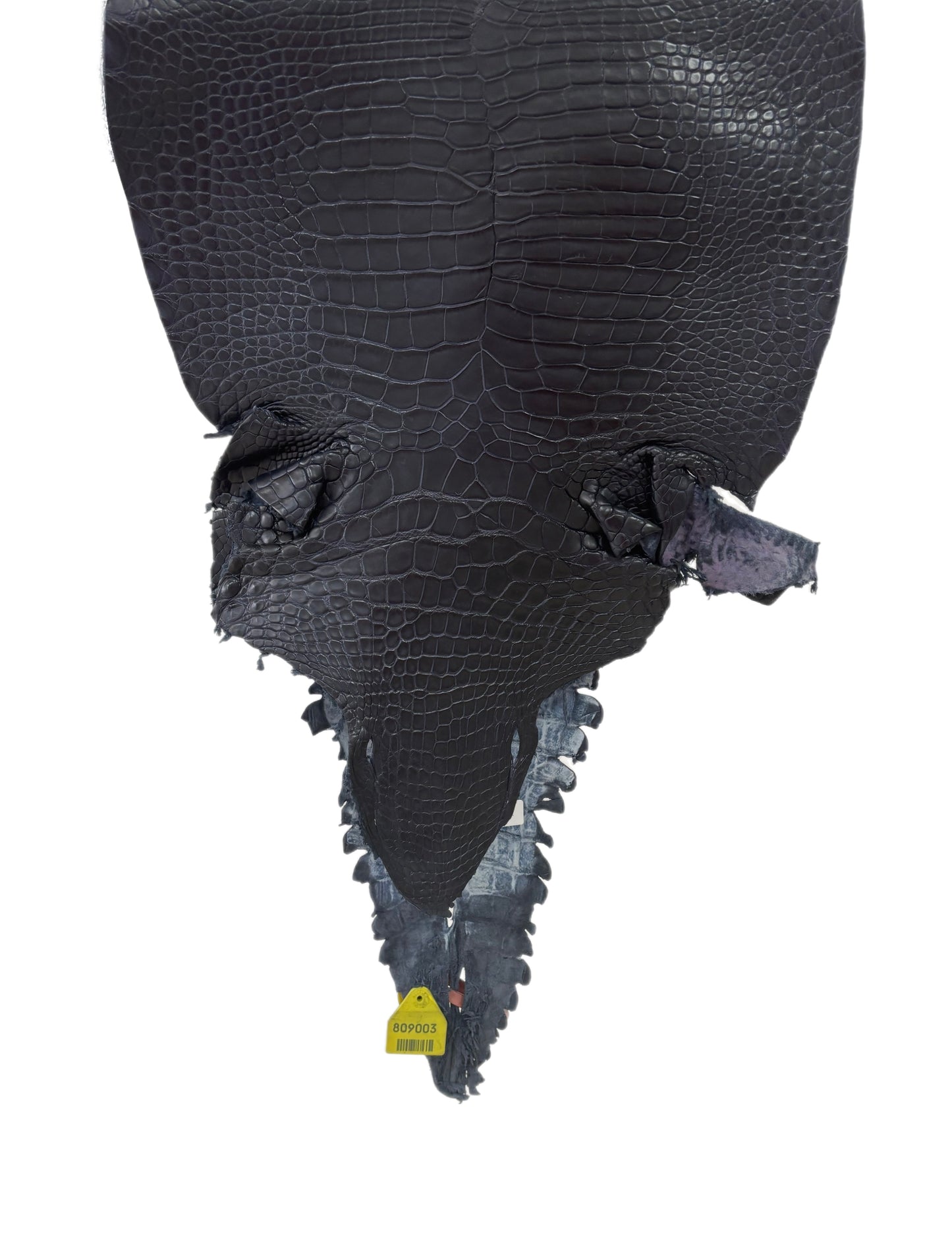 38 cm Grade 3/4 Navy Blue Matte Farm Raised American Alligator Leather - Tag: GA14-0021584