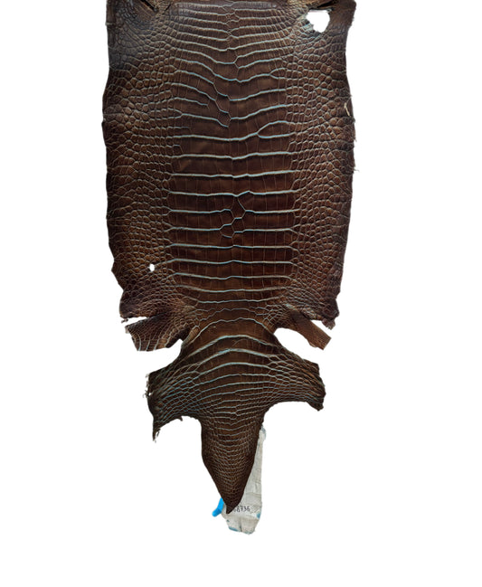 31 cm Grade 2/3 Pacifica Matte Wild American Alligator Leather - Tag: ESRE-0050943