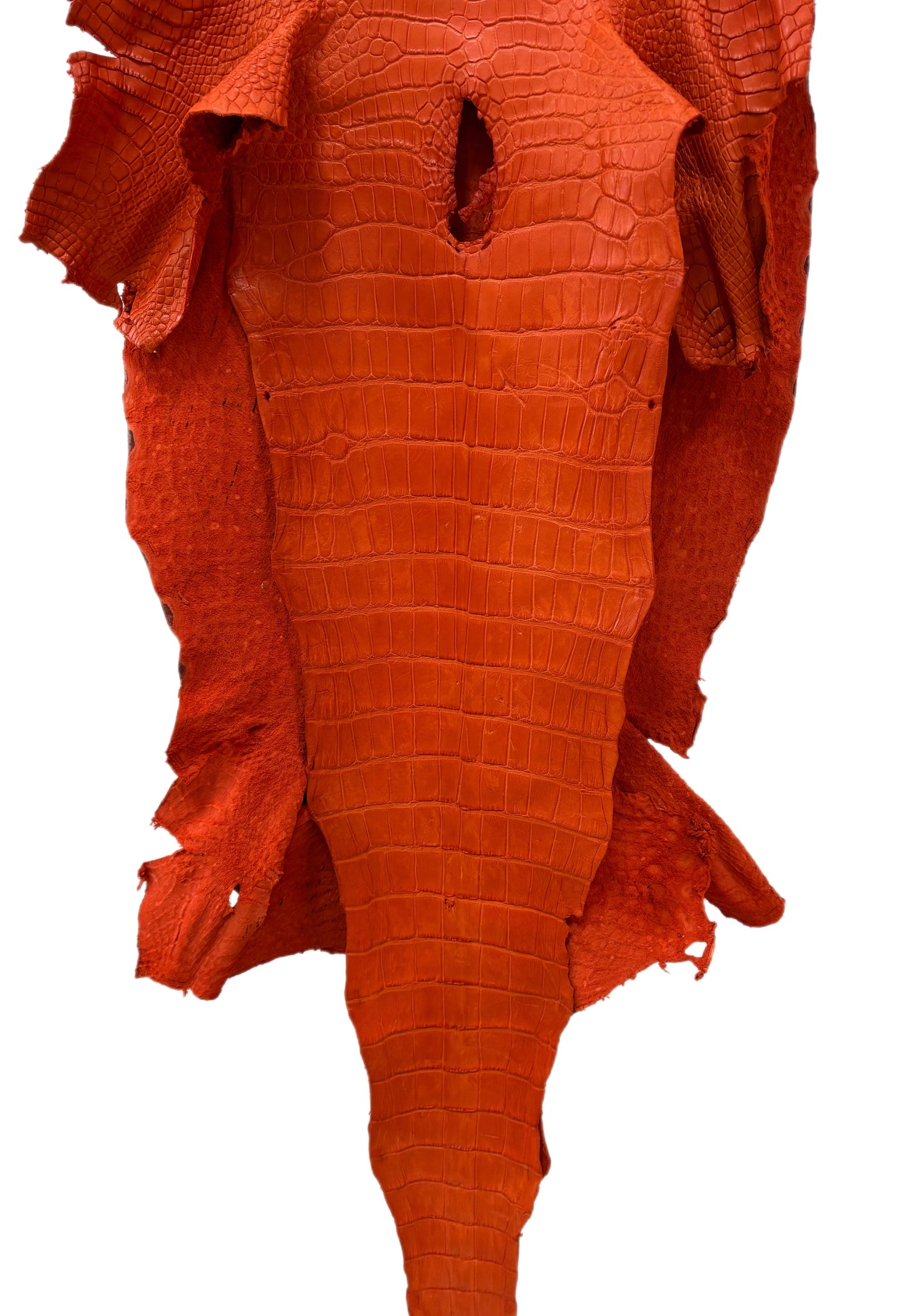 48 cm Grade 4/5 Orange Primavera Matte Wild American Alligator Leather - Tag: LA23-0002838