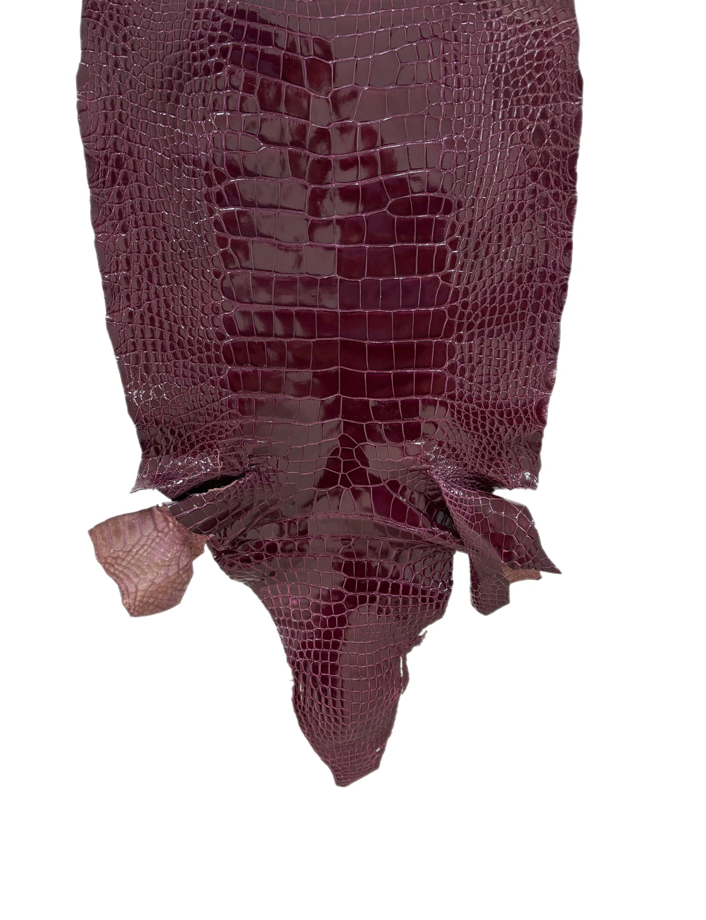 34 cm Grade 2/3 Regal Glazed Wild American Alligator Leather - Tag: AT15-0813113