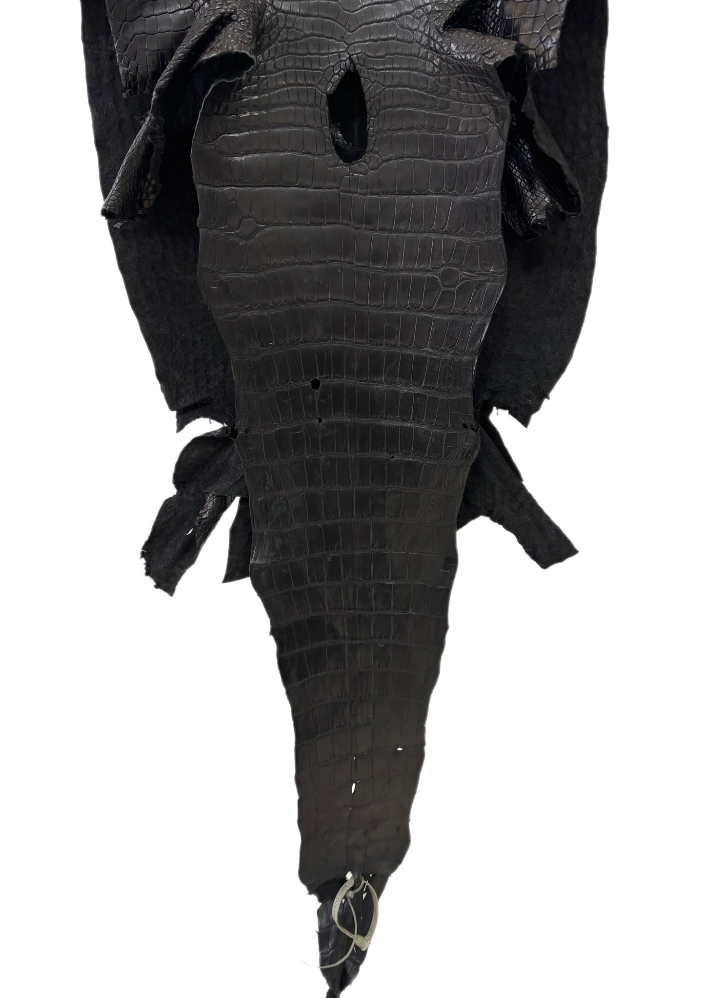 43 cm Grade 3/4 Black Matte Wild American Alligator Leather - Tag: LA23-0038947