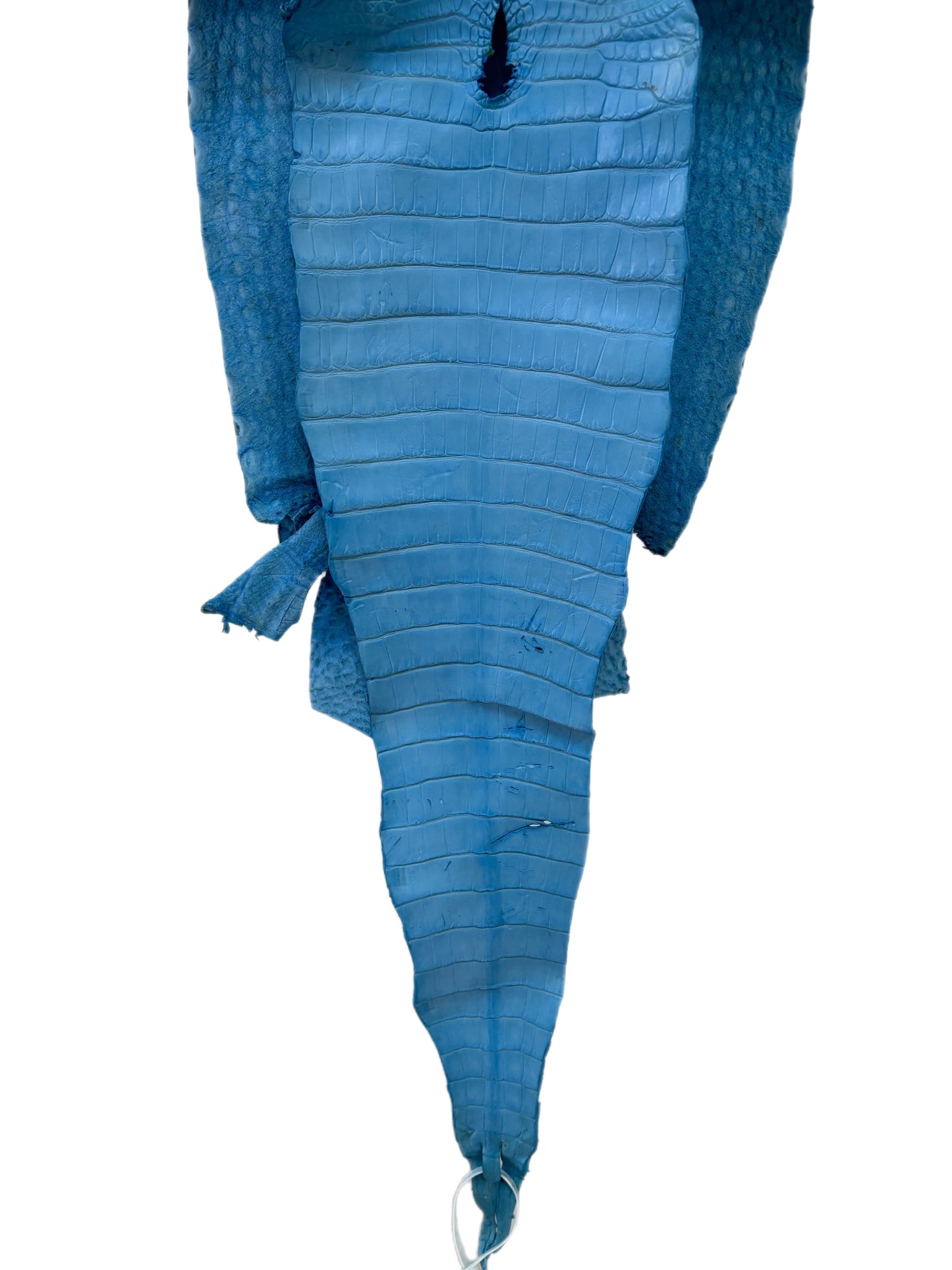 33 cm Grade 2/3 Sky Blue Matte Farm-Raised American Alligator Leather - Tag: FL17-0035056