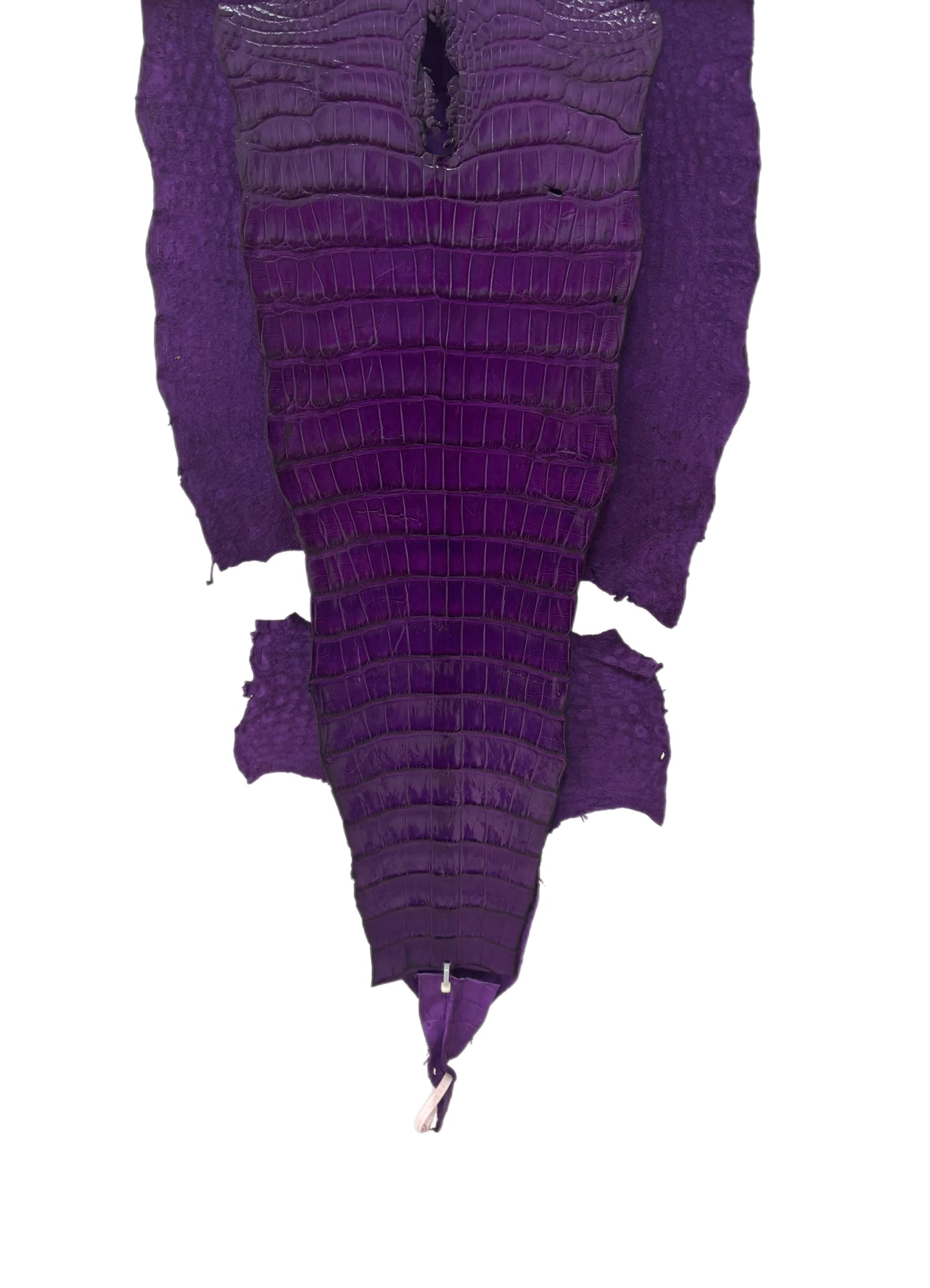 45 cm Grade 3/4 Violet Millennium Wild American Alligator Leather - Tag: LA17-0015048