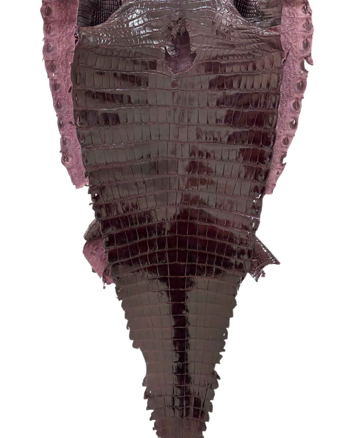 43 cm Grade 1/2 Burgundy Glazed Farm-Raised American Alligator Leather - Tag: GA13-0024552