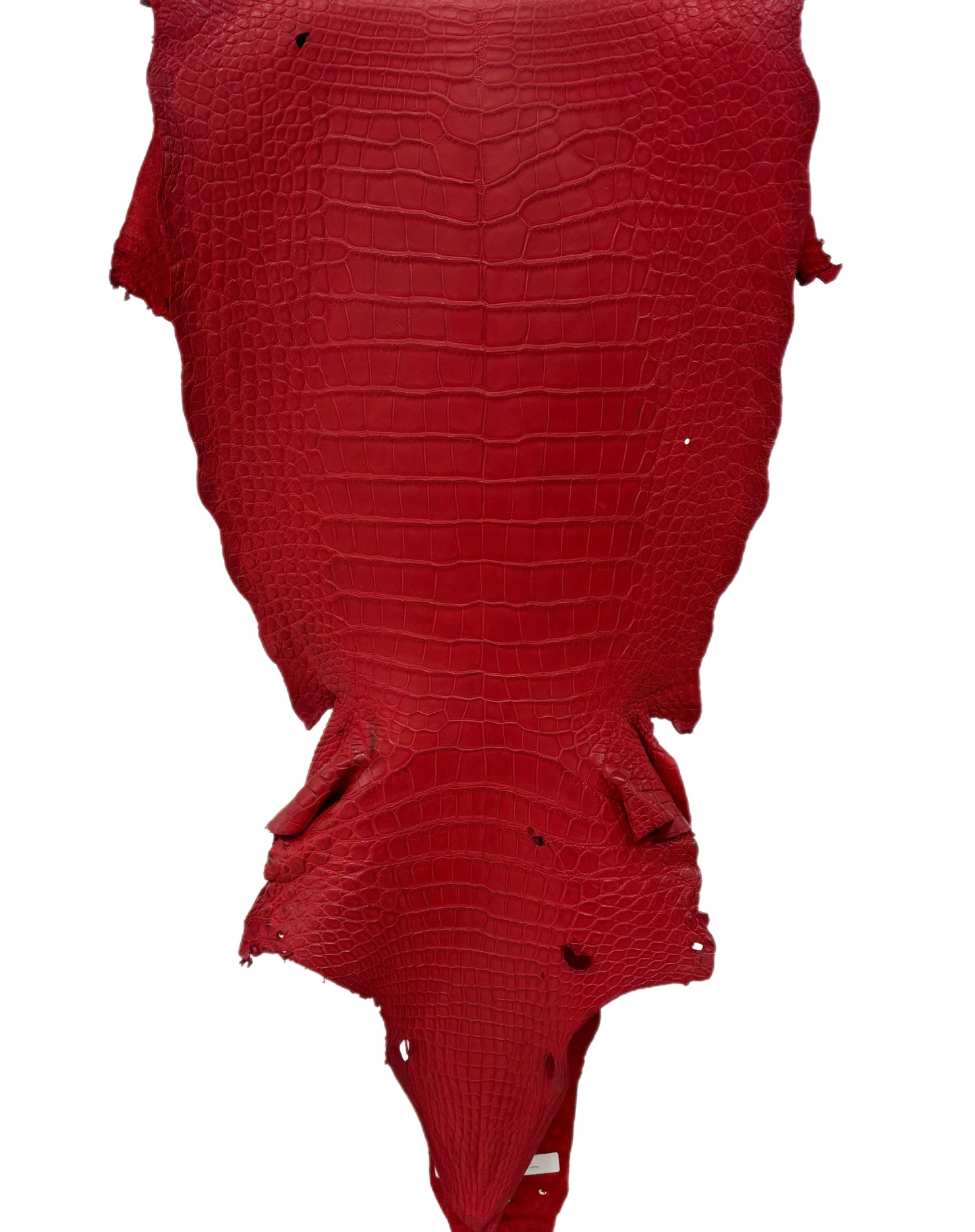 39 cm Grade 2/3 Candy Apple Red Matte Wild American Alligator Leather - Tag: LA23-0048145