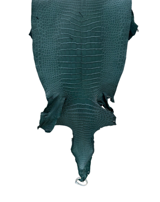 34 cm Grade 3/4 Teal Matte Wild American Alligator Leather - Tag: LA23-0034106