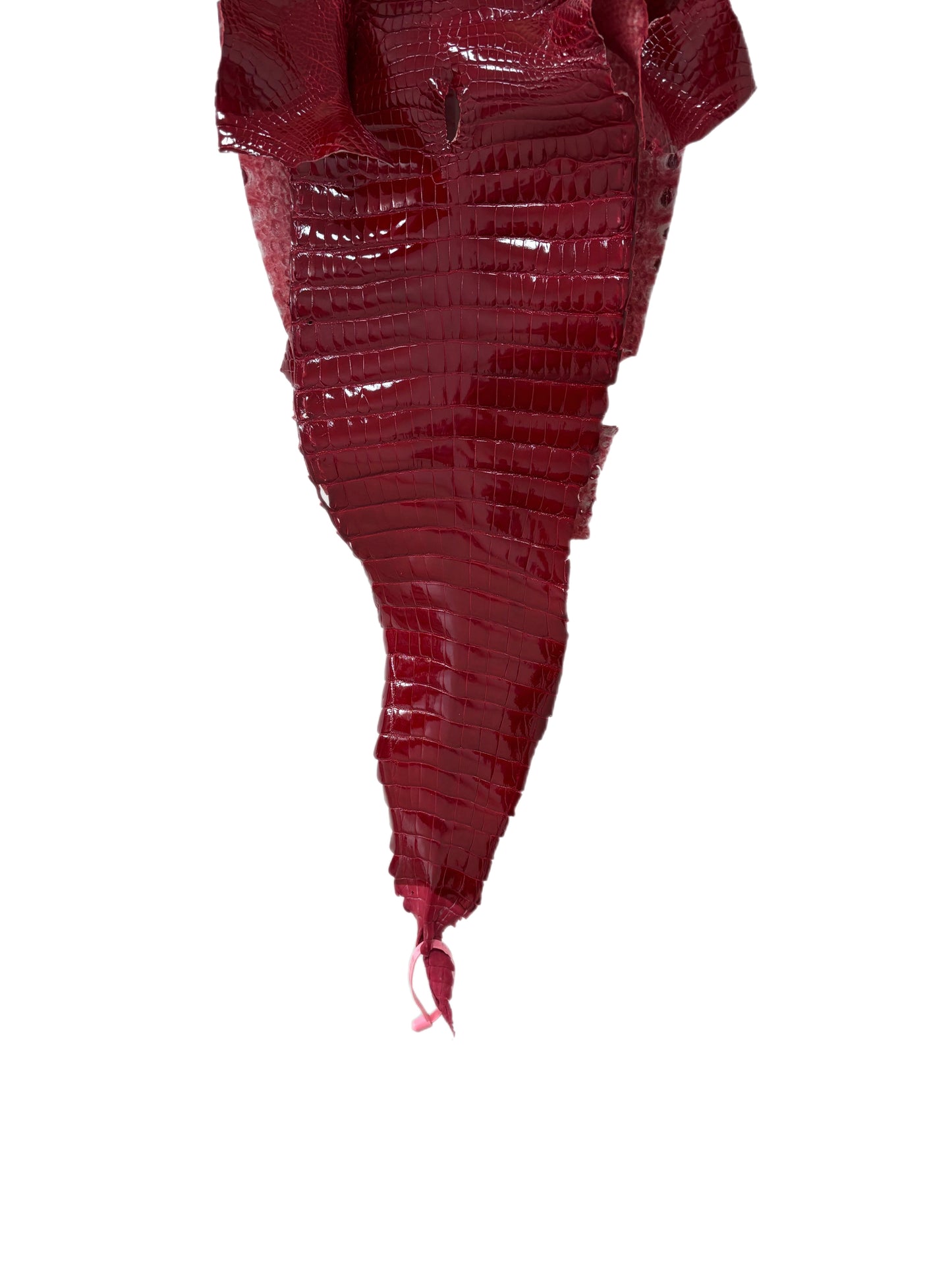 28 cm Grade 1/2 Red Classic Farm-Raised American Alligator Leather - Tag: FL21-0024030