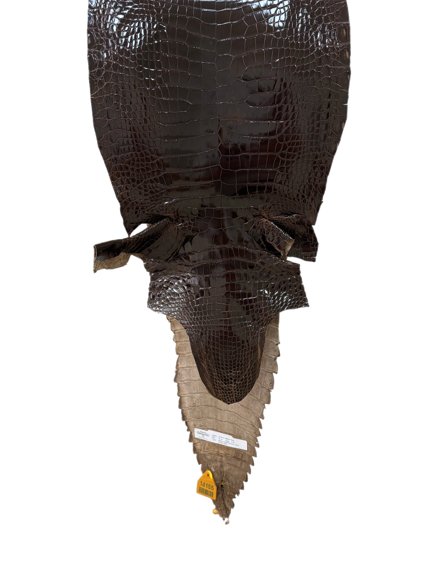 32 cm Grade 2/3 Sport Rust Brown Glazed Farm-Raised American Alligator Leather - Tag: GA13-0020616