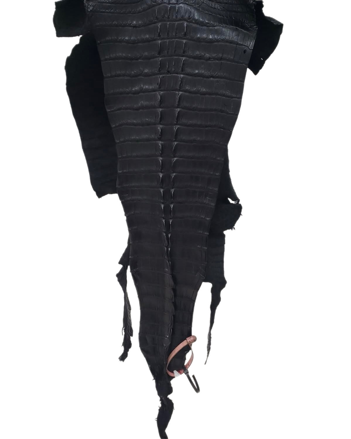 37 cm Grade 3/4 Black Matte American Alligator Hornback Leather - Tag: FL14-0030212